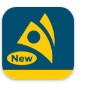 MoMo